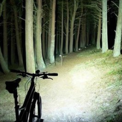 Rechargeable Flashlights